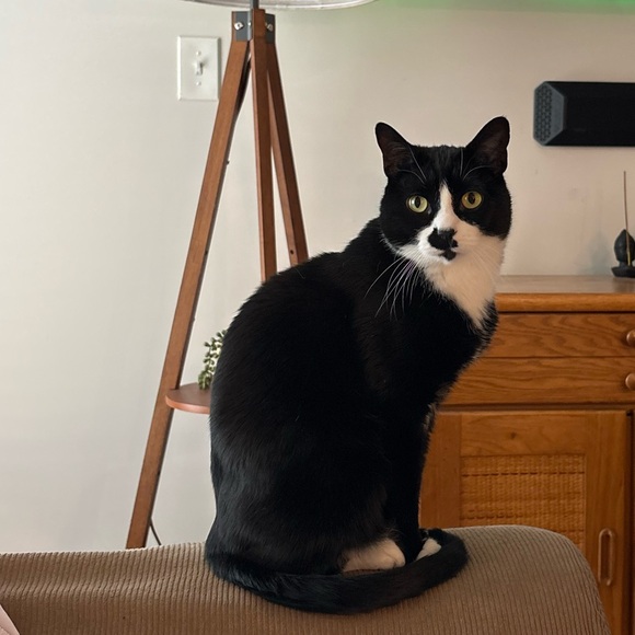Meet the Posher Other - Meet your Posher, Jaime